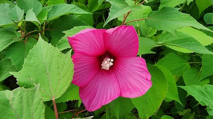 한병도•강득구•황명선 잡으러 서울 영등포경찰서 가는 중...