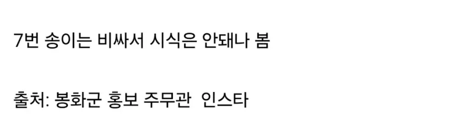 배우 이시언 봉화군 방문시 받는 혜택