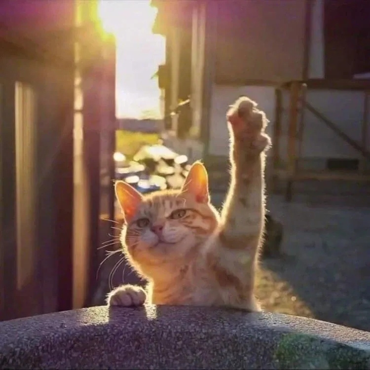 안녕하세요