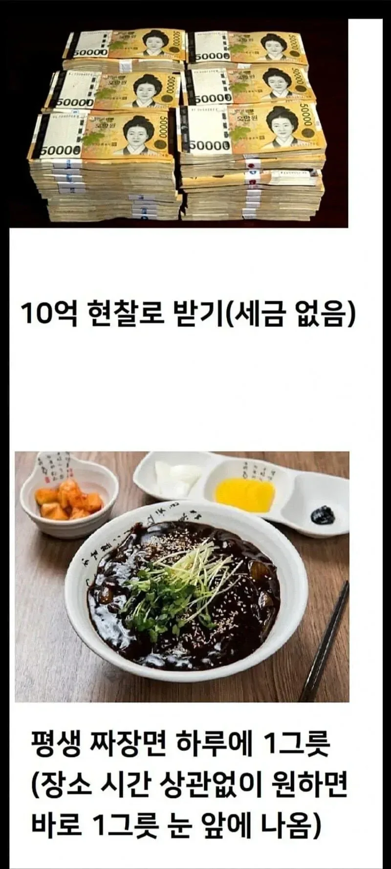 주기적으로 봐줘야하는 짜장짜장 열매