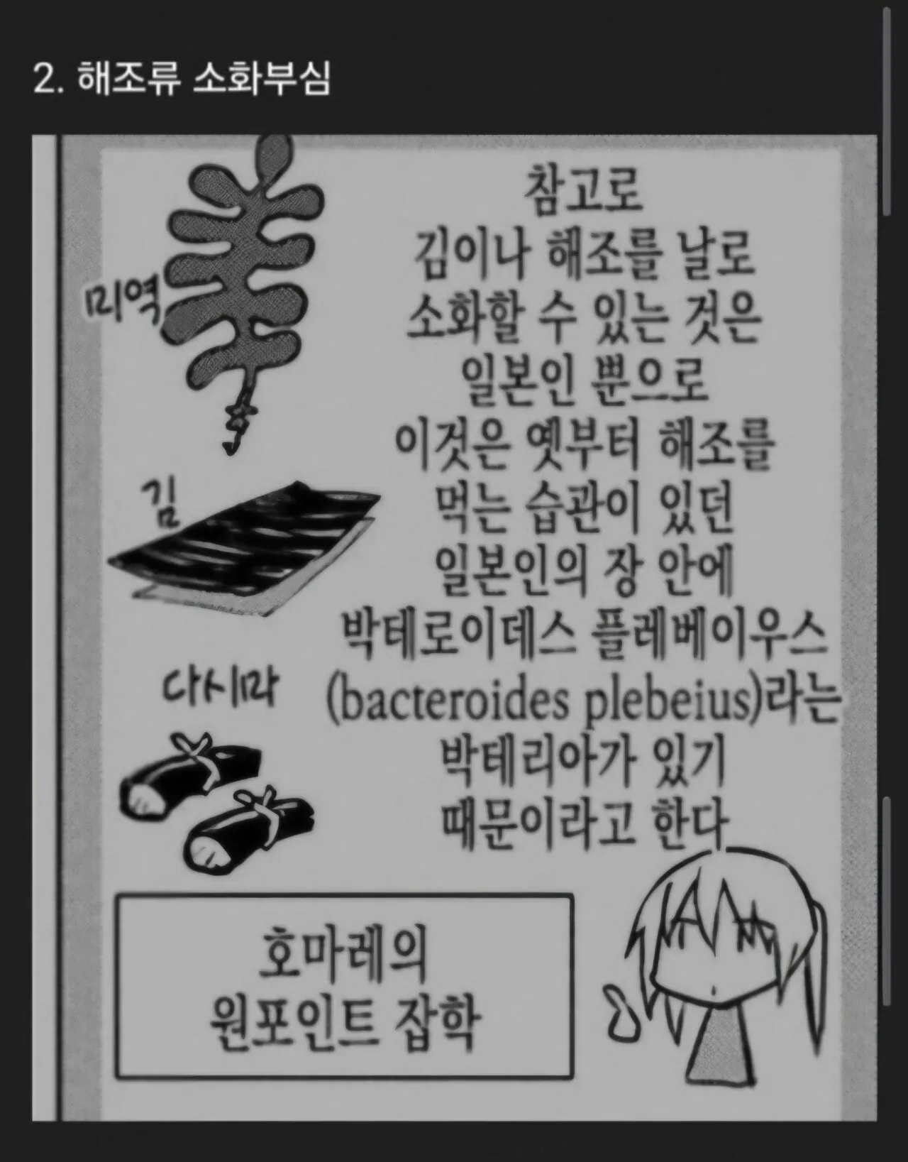전 세계가 알아야하는 일본의 자랑스러운 문화들