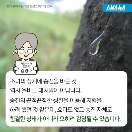 소설 소나기에서 소녀가 사망한 이유.jpg