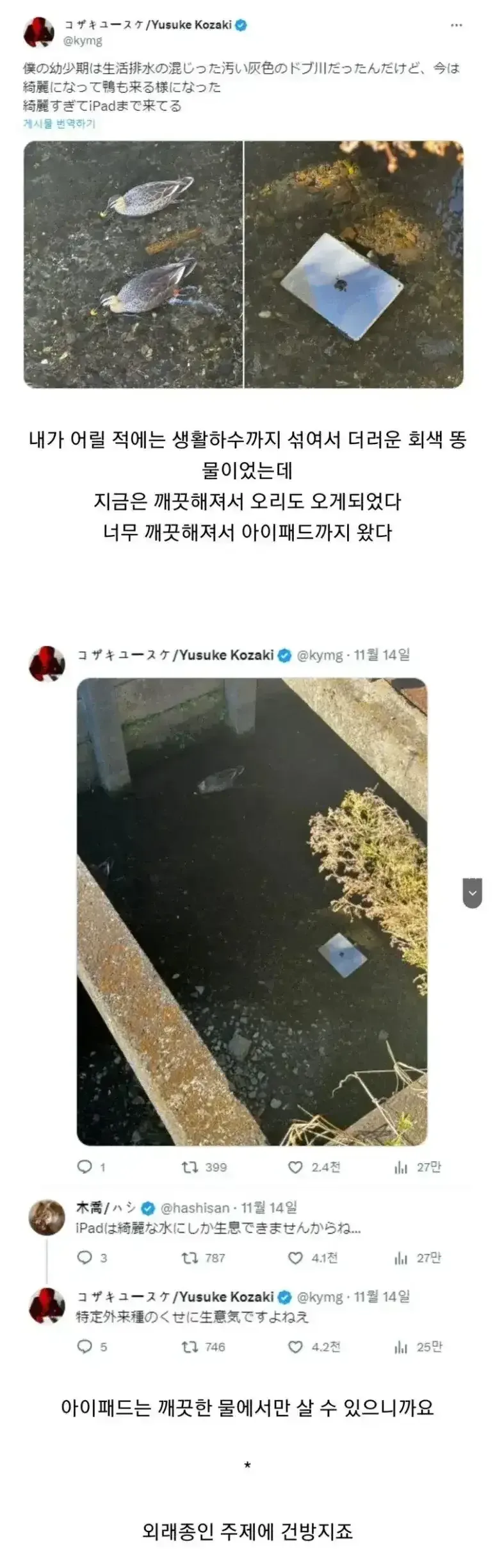물이 깨끗해지자 보이게 된 것