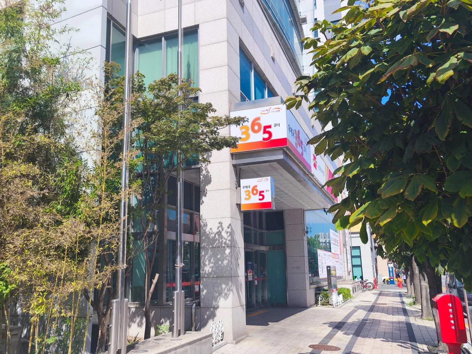 가을 대전우체국 앞에서