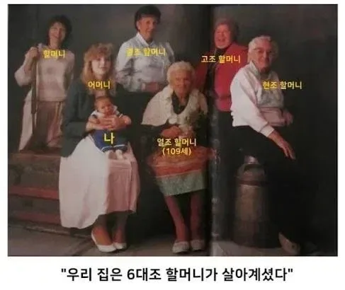 생각보다 가까운 직계인 정약용과 6대손 정해인