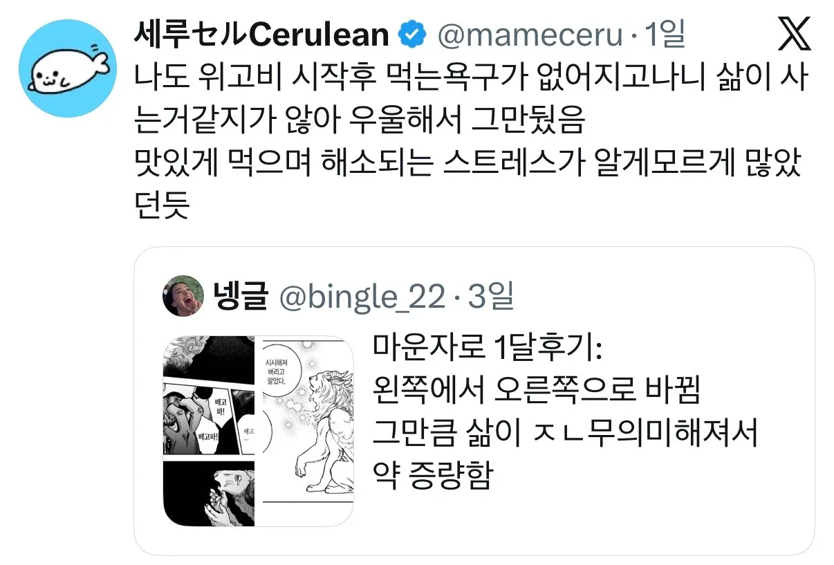 마운자로 한달후기: 왼쪽에서 오른쪽으로 바뀜.twt