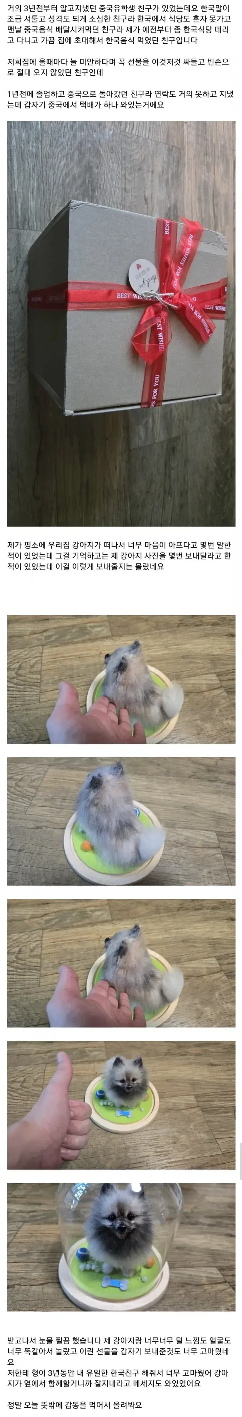 죽은 강아지 사진을 보내달라한 중국인 친구