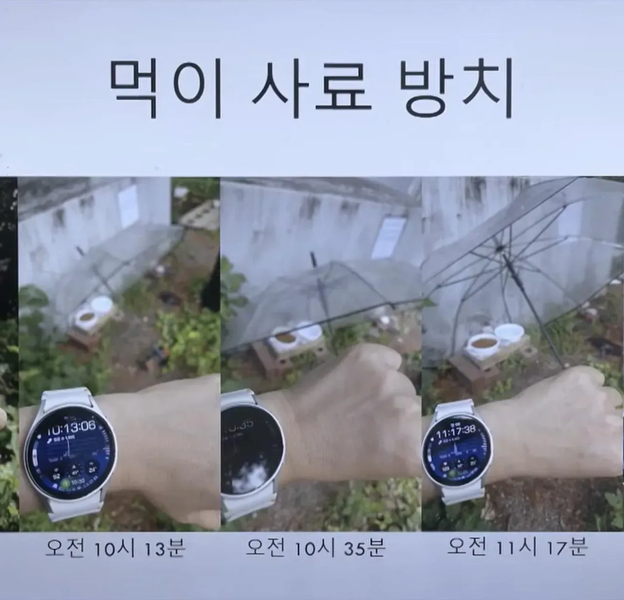 "고양이 밥 주면 10만 원"에 고소까지 끝장 갈등