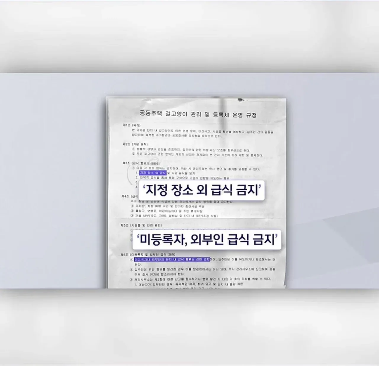 "고양이 밥 주면 10만 원"에 고소까지 끝장 갈등