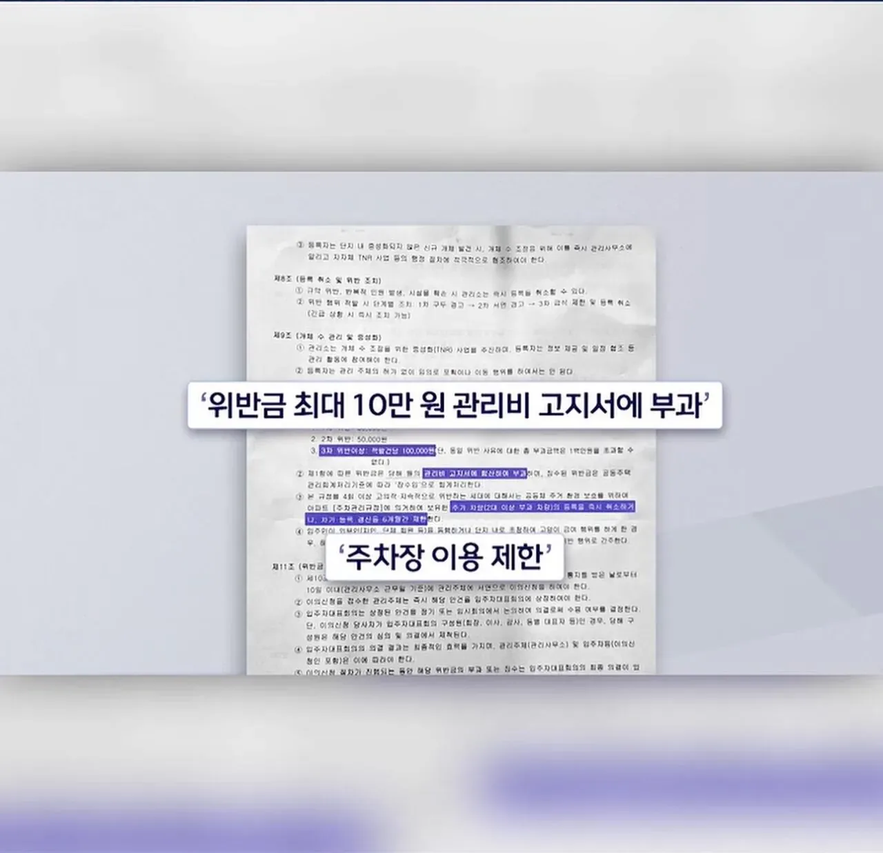"고양이 밥 주면 10만 원"에 고소까지 끝장 갈등