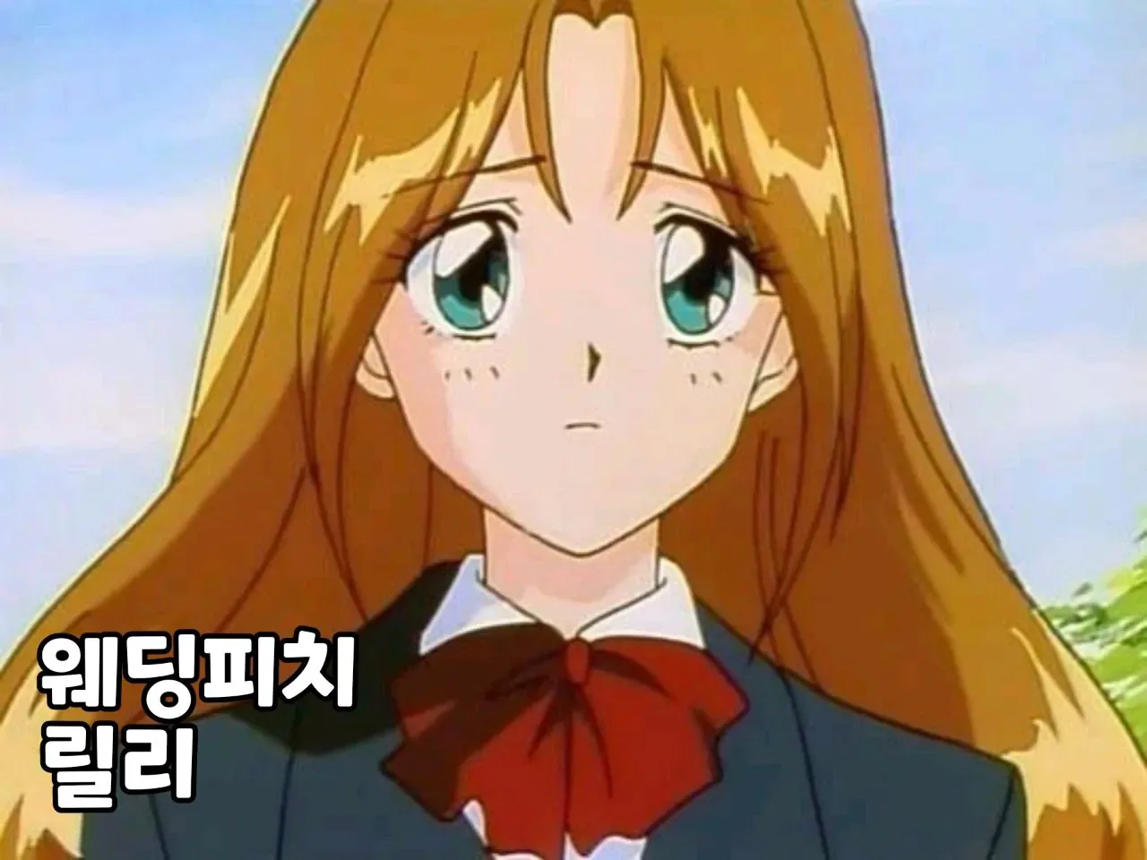 80~90년대 애니 작화 미녀 수준