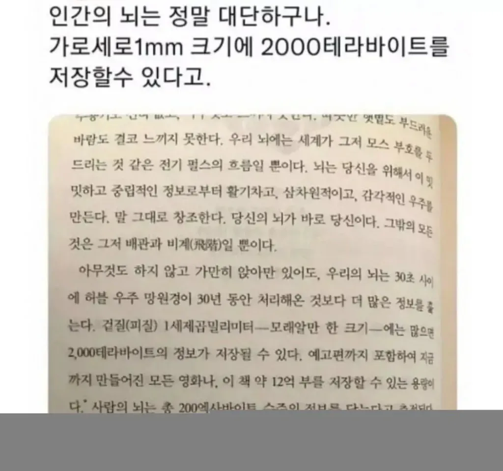 8211322526_486616_acf74e665379fe0246bcc0ad169f0c96.jpg 인간 뇌가 1mm당 저장할수 있는 용량.jpg