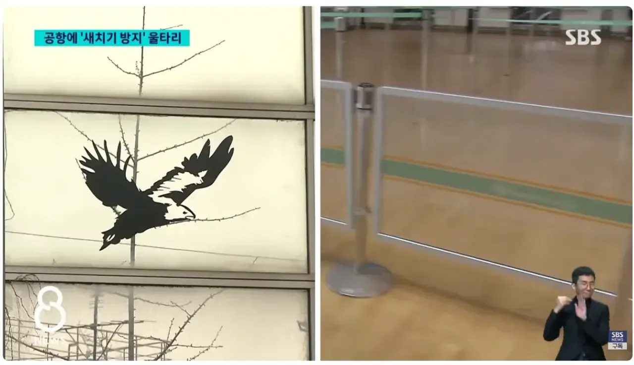 [SBS] 인천공항에 '새치기 방지' 울타리 설치 이후 근황
