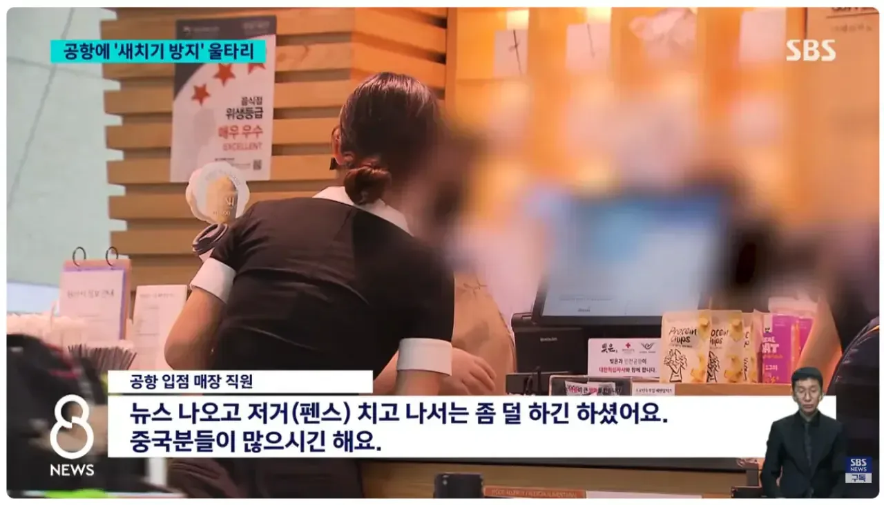 [SBS] 인천공항에 '새치기 방지' 울타리 설치 이후 근황