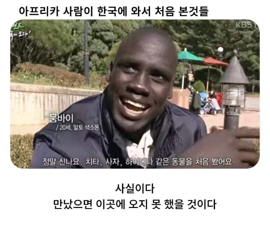 아프리카 사람이 한국에 와서 처음 본 것들