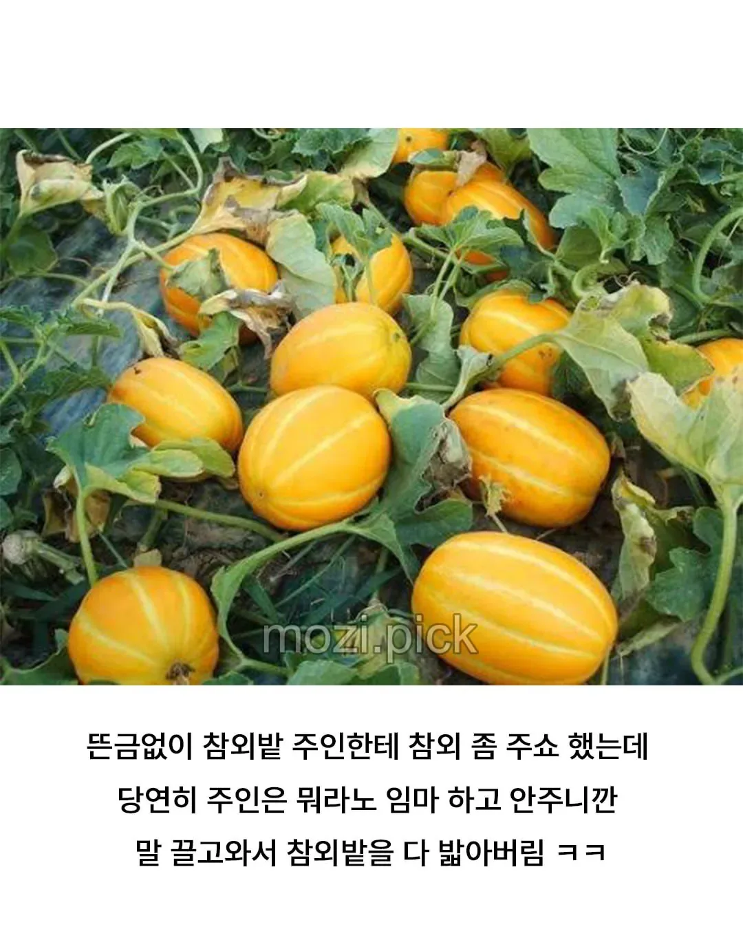 의외로 유년시절 금쪽이였던 위인.jpg