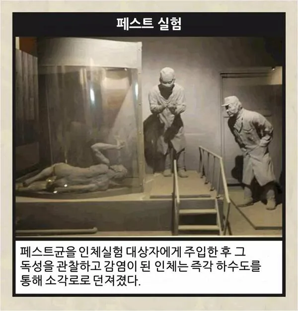이걸 보고도 일뽕이 차나요?