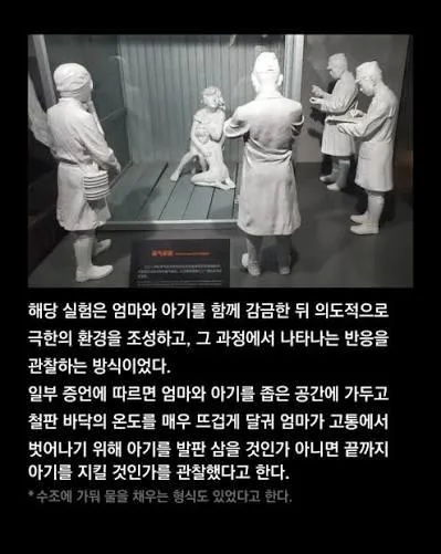 이걸 보고도 일뽕이 차나요?