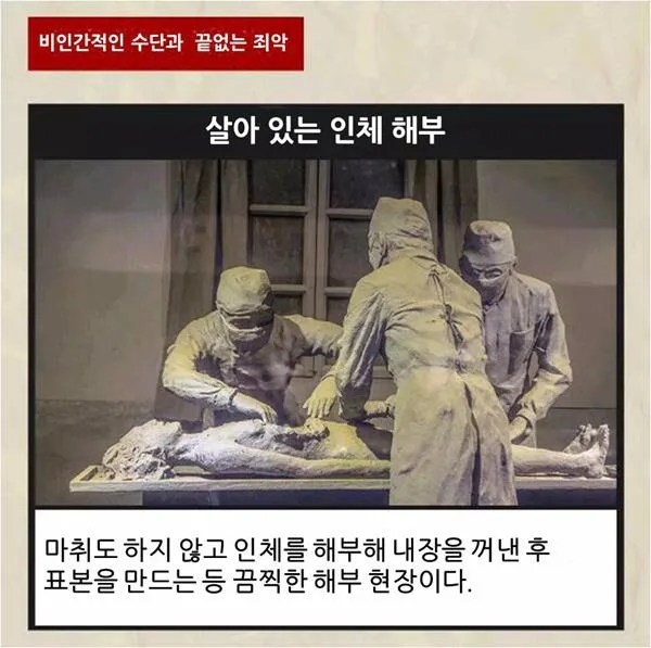 이걸 보고도 일뽕이 차나요?