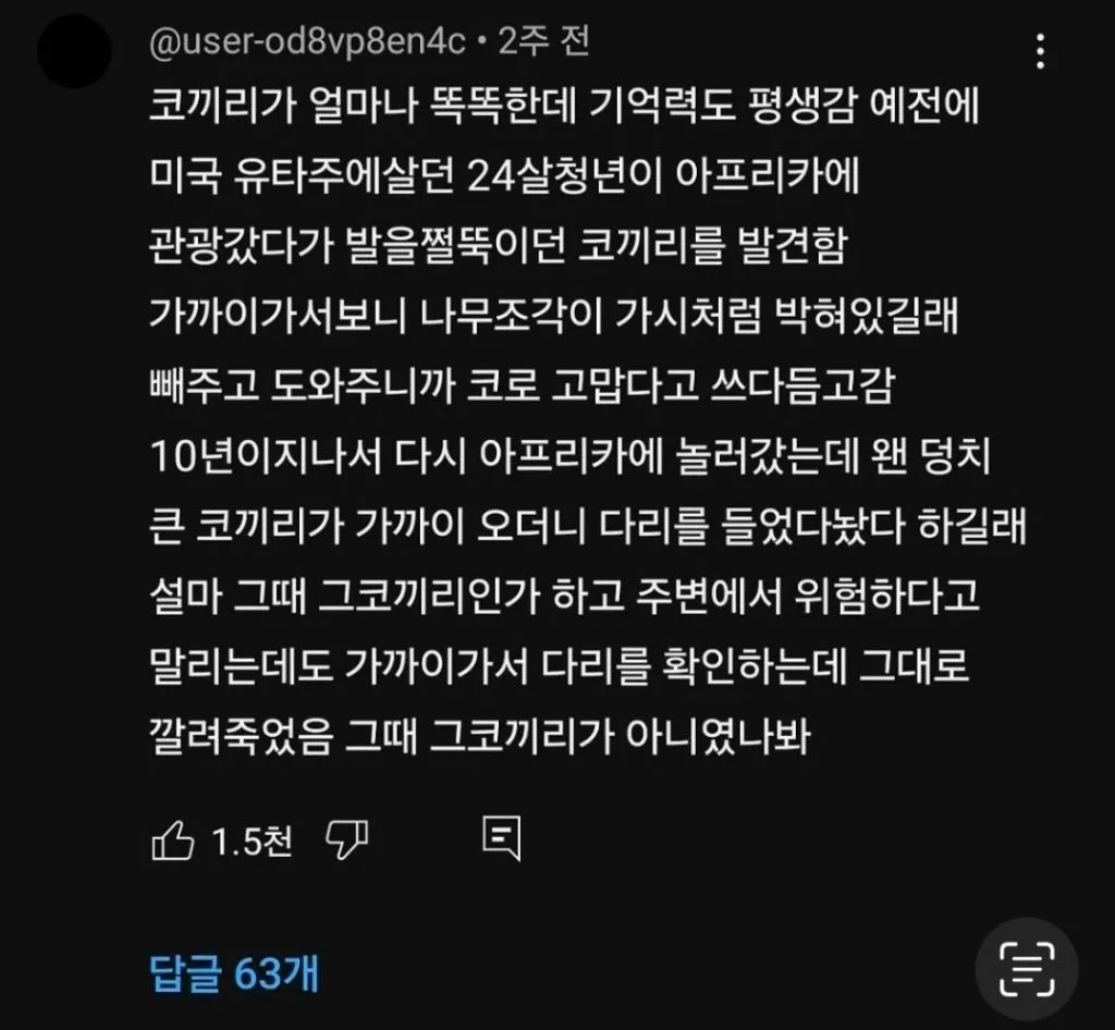 코끼리가 얼마나 똑똑한데 기억력도 평생감