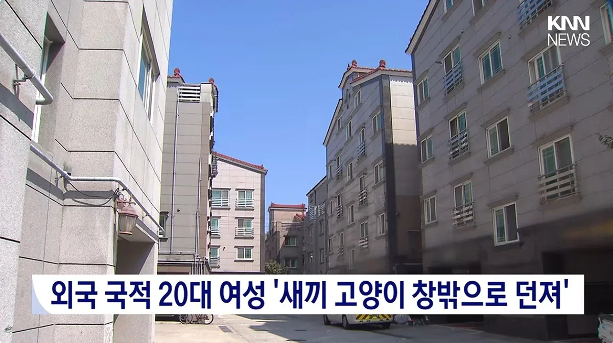 "우울증 때문에..." 새끼고양이 잇따라 죽여, 경찰조사 중에도 입양시도