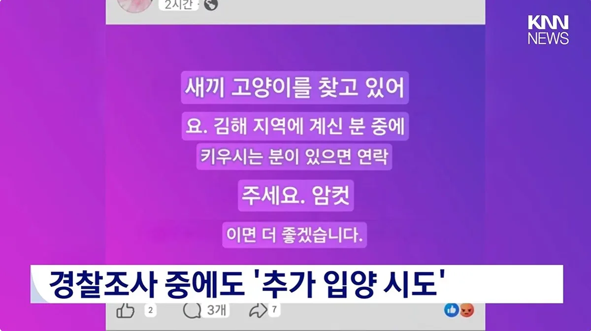 "우울증 때문에..." 새끼고양이 잇따라 죽여, 경찰조사 중에도 입양시도