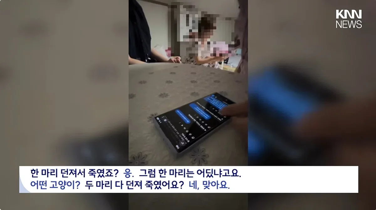 "우울증 때문에..." 새끼고양이 잇따라 죽여, 경찰조사 중에도 입양시도