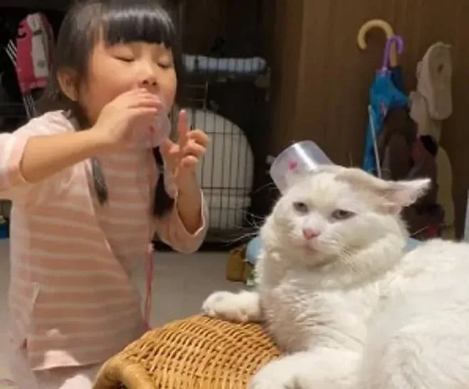 감기 걸려 어린이집 못 간 딸이랑 놀아주는 고양이