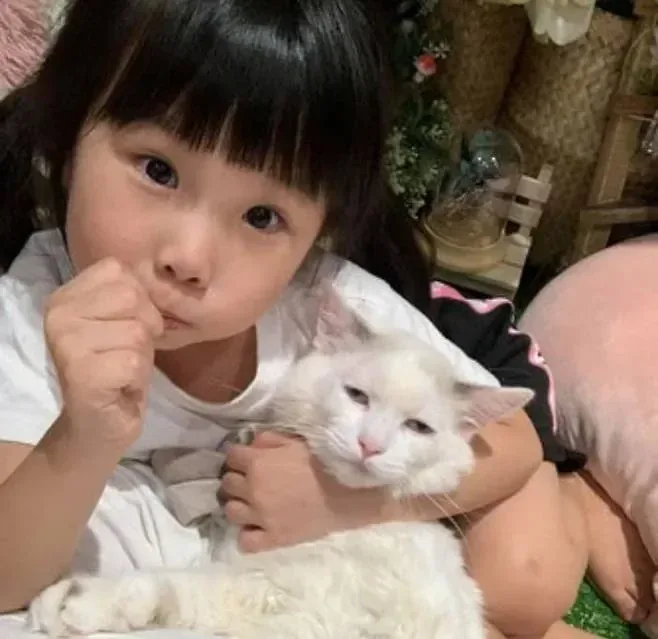 감기 걸려 어린이집 못 간 딸이랑 놀아주는 고양이