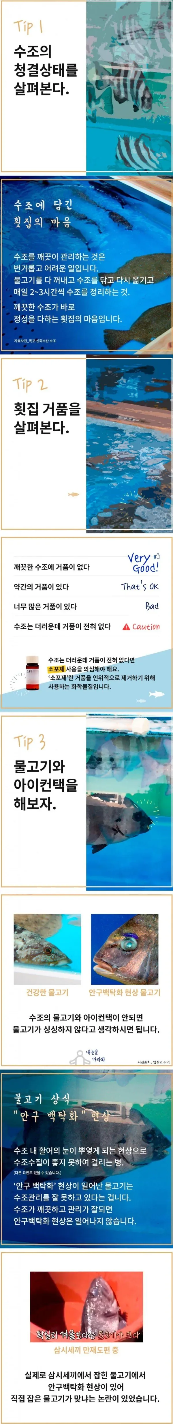 싱싱한 회고르는 꿀팁