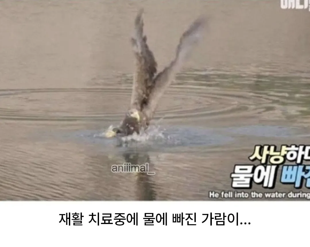 벗으면 더 대단한 타입.jpg