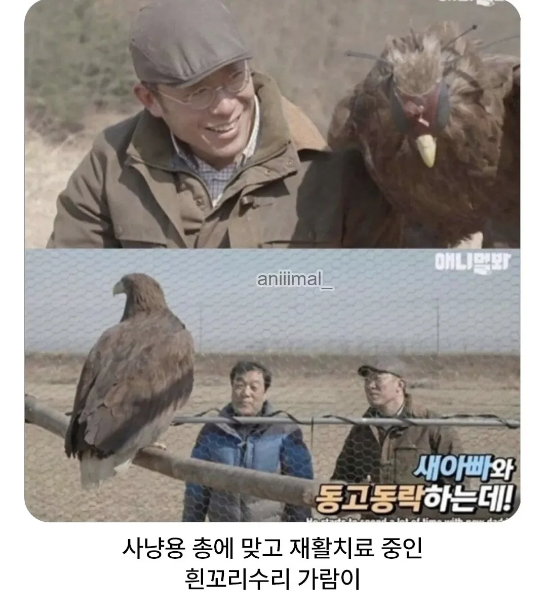 벗으면 더 대단한 타입.jpg