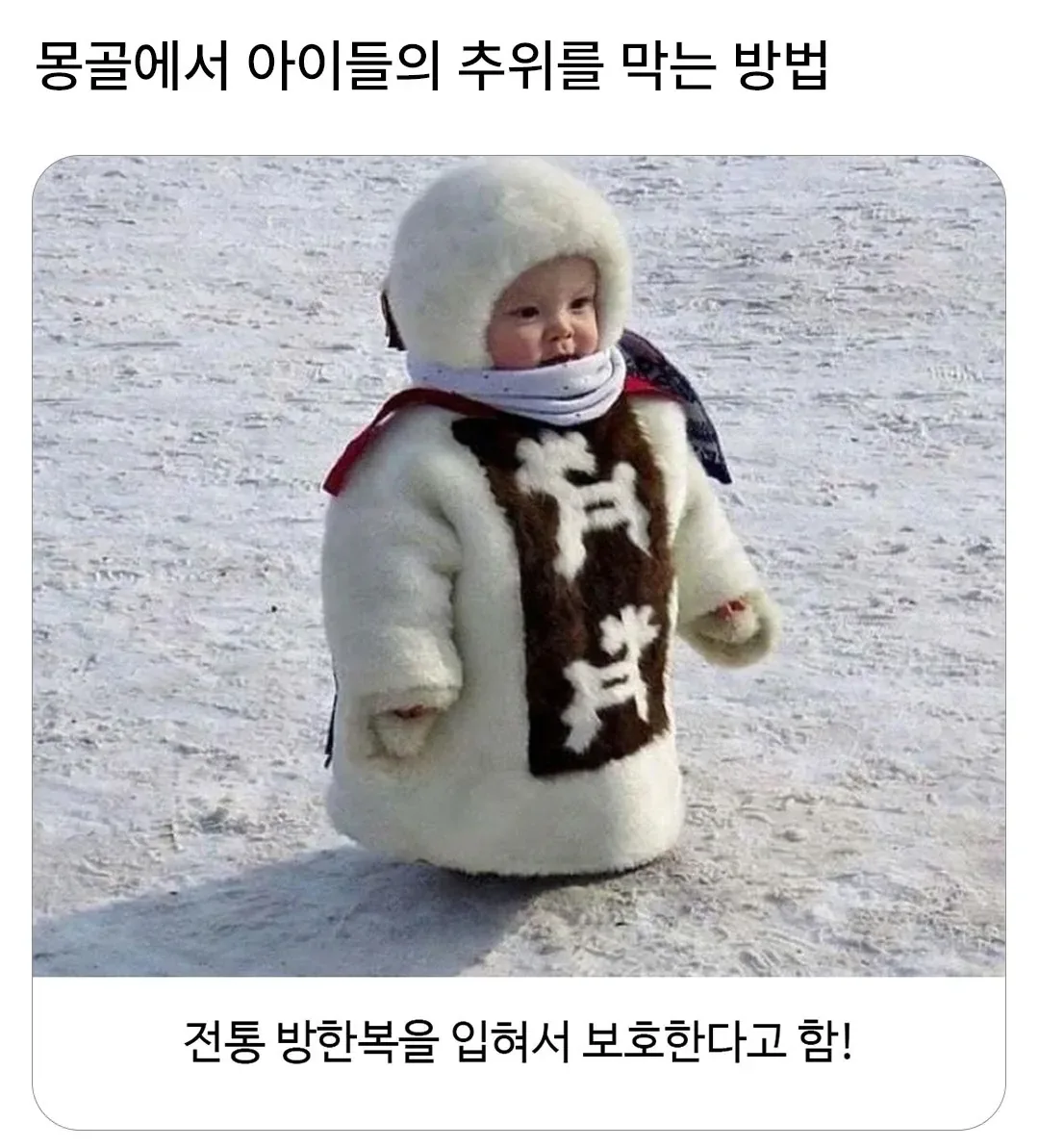 몽골에서 아이들의 추위를 막는 방법.jpg