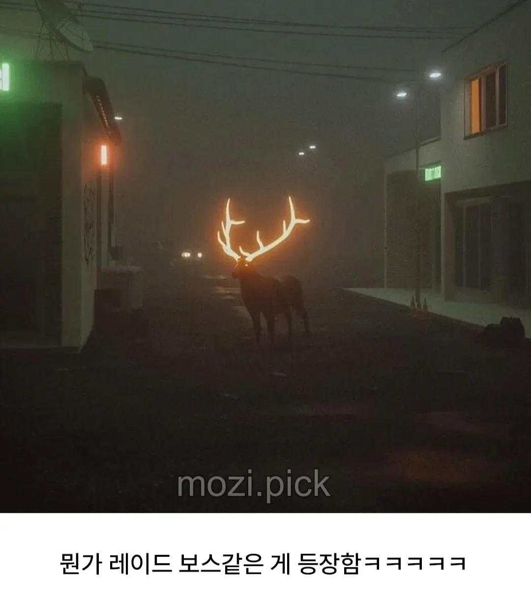 핀란드의 교통사고 방지 대책