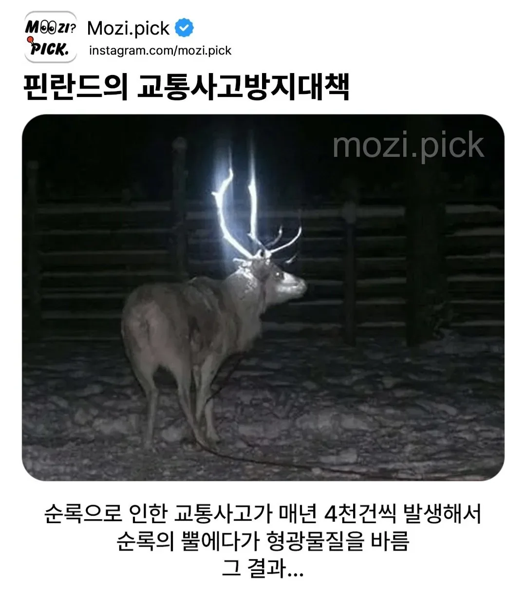 핀란드의 교통사고 방지 대책