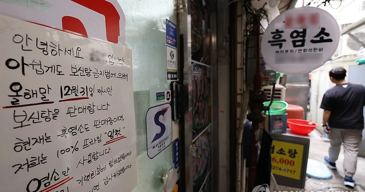 개 식용 금지 반년 앞두고…'보신탕' 업주들 결국 법정까지 갔다