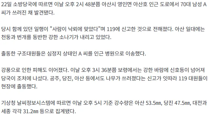 [속보] 충남 덮친 강한 비바람…아산서 낙뢰 추정 70대 심정지