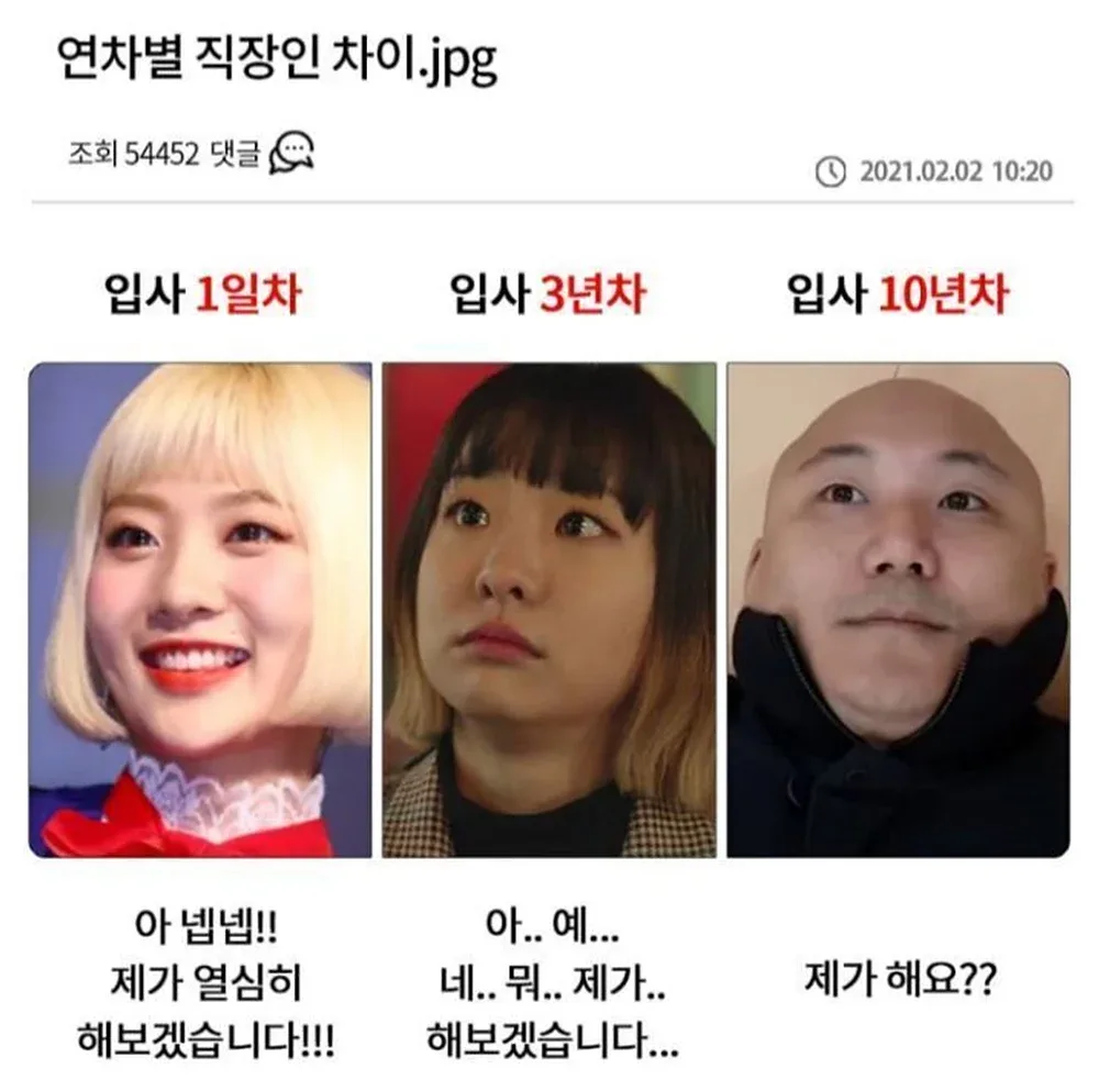 연차별 직장인 차이