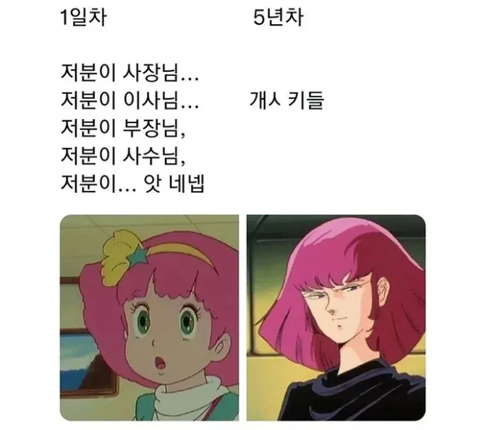 연차별 직장인 차이