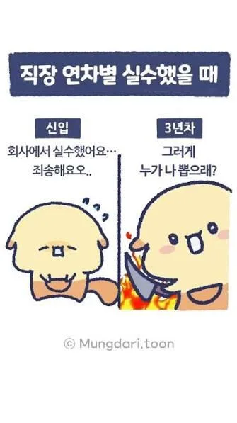 연차별 직장인 차이
