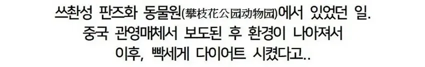 황당한 중국 동물원 대참사