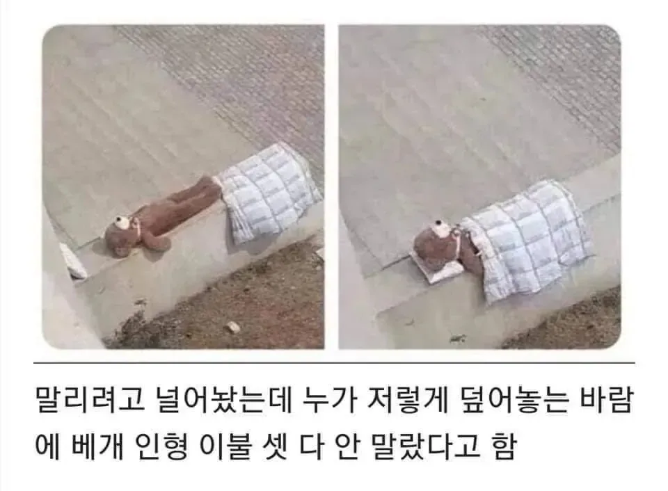 친절함이 부른 참사