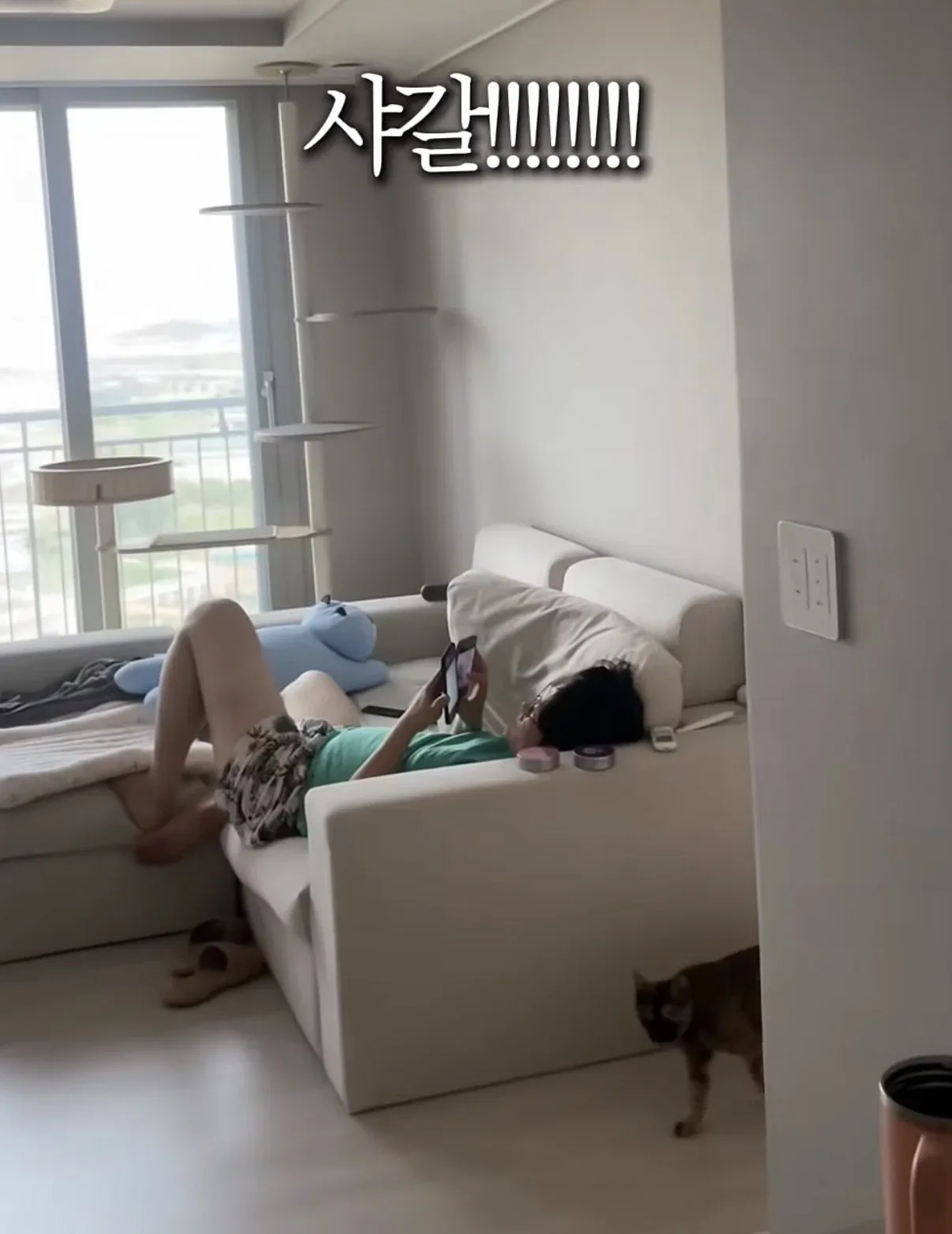 남편 안치우는거 무시하고 냅두면 고쳐짐을 실험해본 사람들.jpg