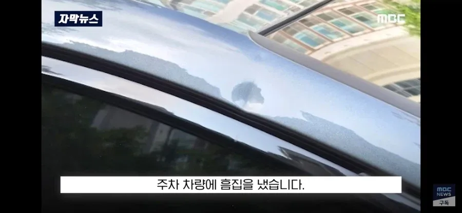재물손괴 피해자가 가해자를 감싸준 사건