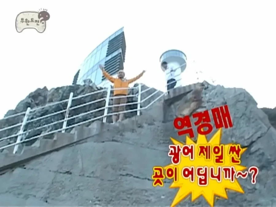 광어 역경매하는 노홍철.jpg
