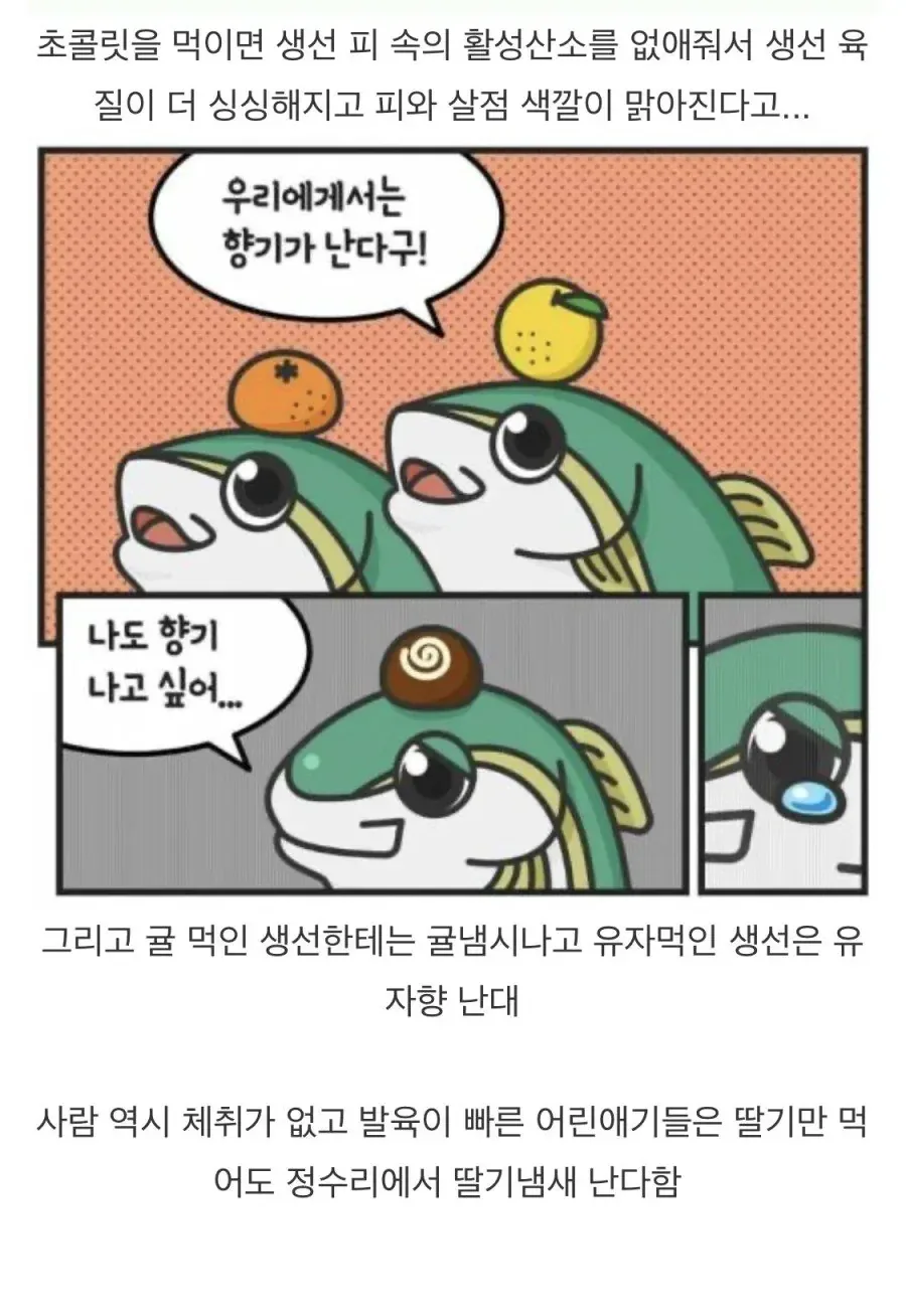어떤 생선이 출하전에 먹는 음식
