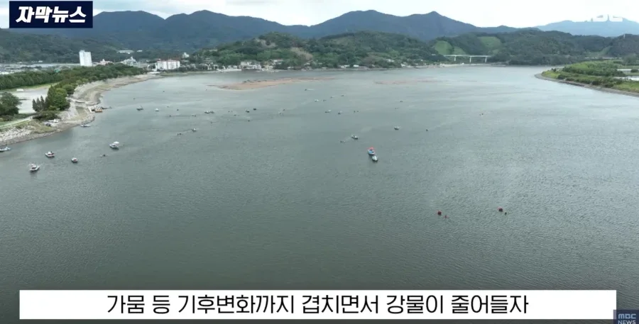 바다물이 올라오고 있다는 섬진강 하류_6.webp