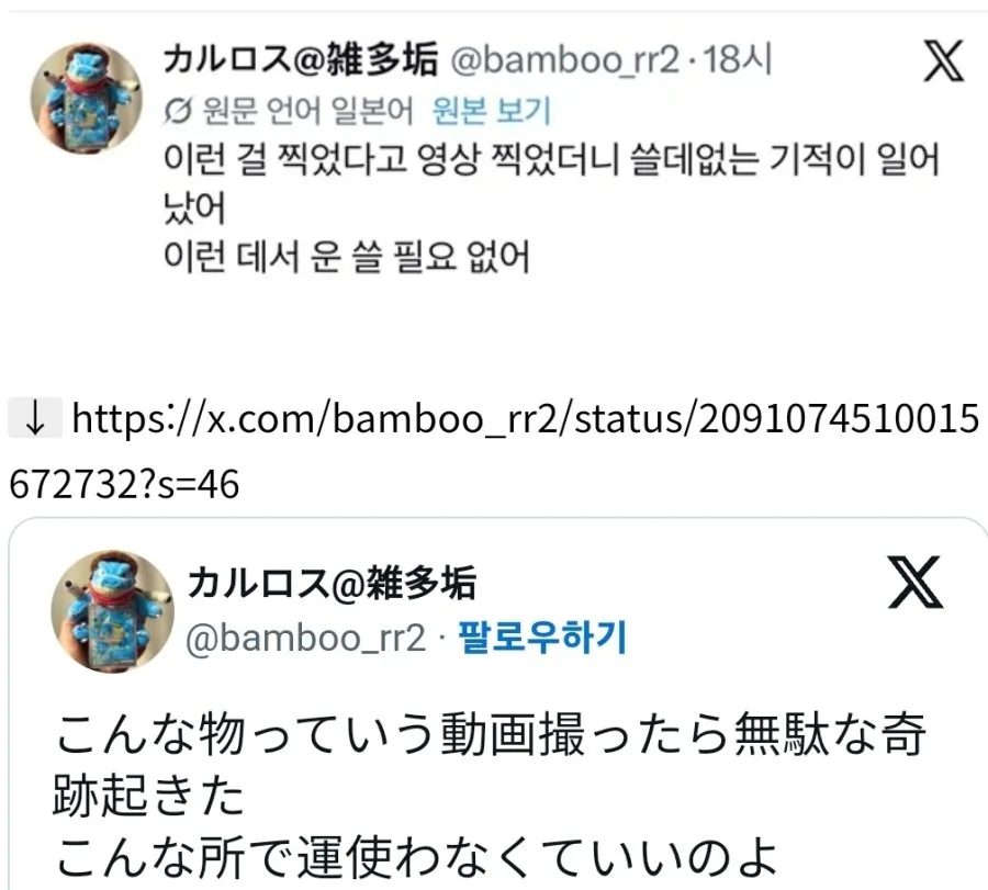 쓸데없는 기적이 일어났어