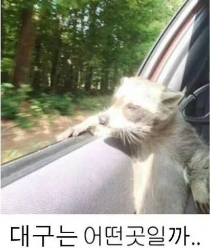 서문시장 오뎅집 빌런