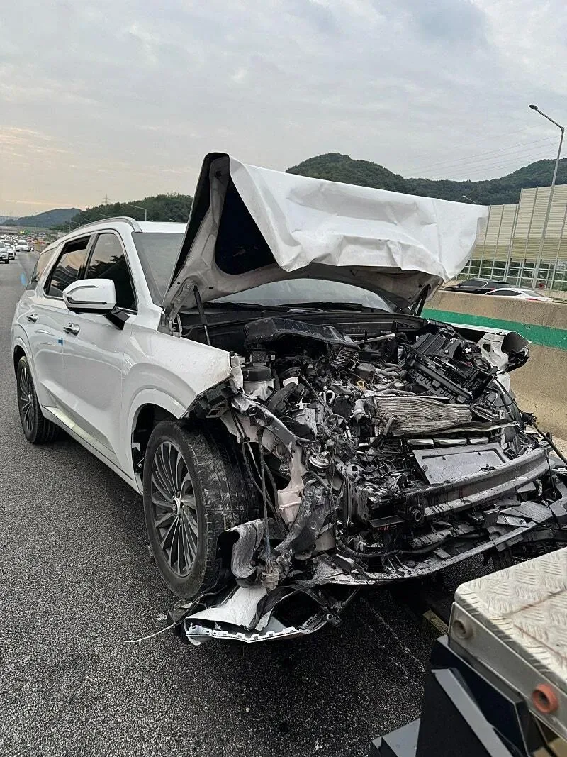 BYD 씨라이언 vs 현대 펠리세이드 크루즈 주행 추돌 사고